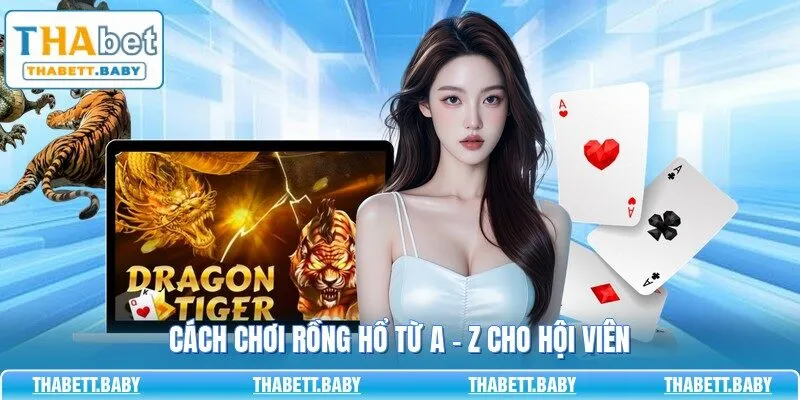 Cách chơi Rồng Hổ từ A - Z cho hội viên