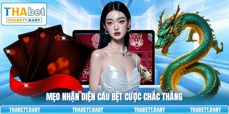 Mẹo nhận diện cầu bệt cược chắc thắng